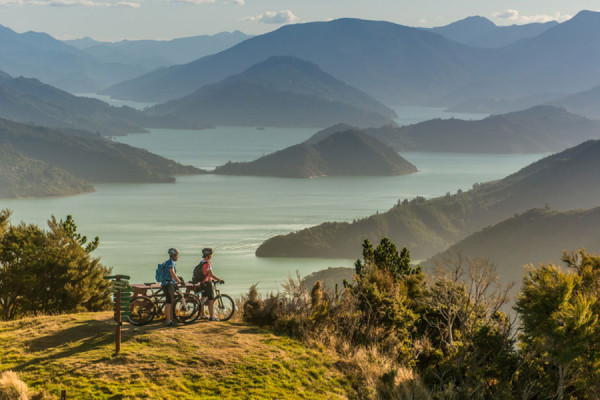 Cycling on Queen Charlotte Track